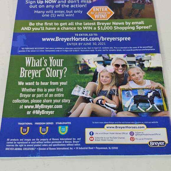 Breyer Horses Scene Catalog Collector's Manual Model Horse 2020 Friesian - Picture 6 of 8